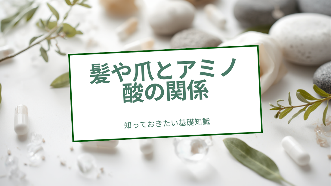 髪や爪とアミノ酸の関係のサムネイル